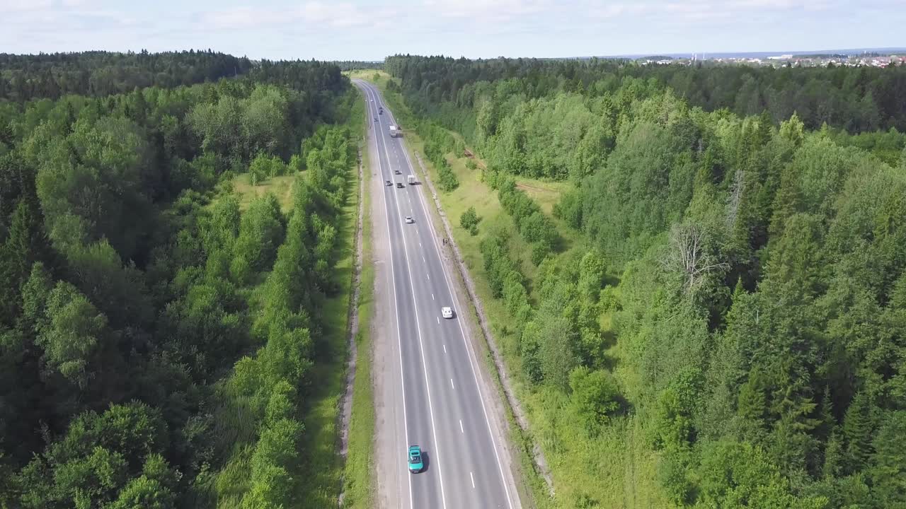 carretera a través de un bosque verde