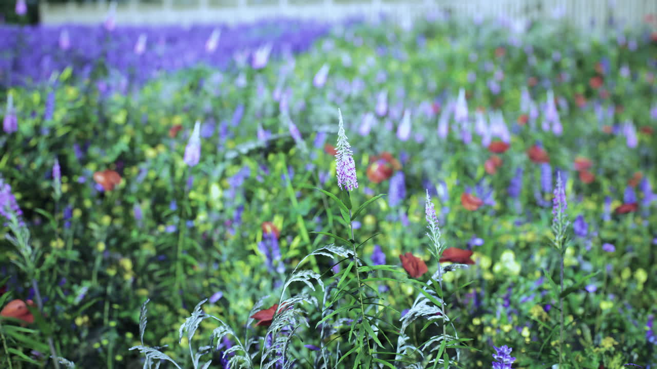 un vibrante campo de flores silvestres en plena floración durante una tarde soleada en primavera