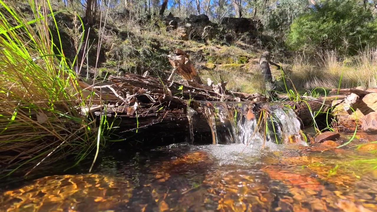 Água cristalina de riacho cai sobre troncos e rochas em Warrumbungle, Nova Gales do Sul, Austrália