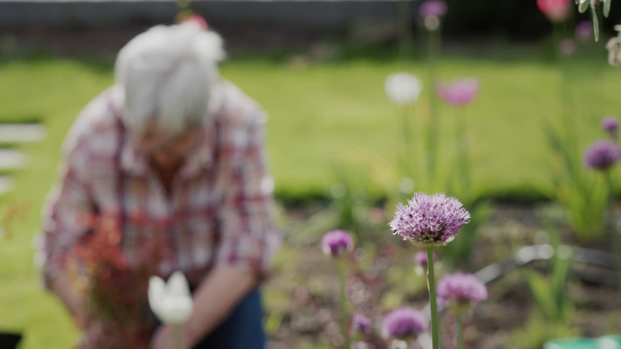 한 벌 이 정원 에서 꽃 을 잡고 있으며, 배경 에는 한 여자 가 정원 에 꽃 을 심고 있다