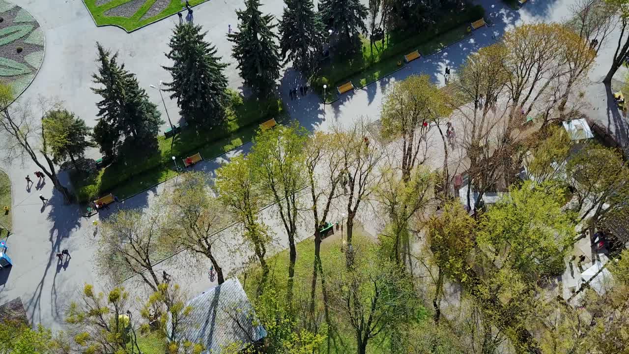 City park from above. Top view from flying drone of city park with walking path and green zone