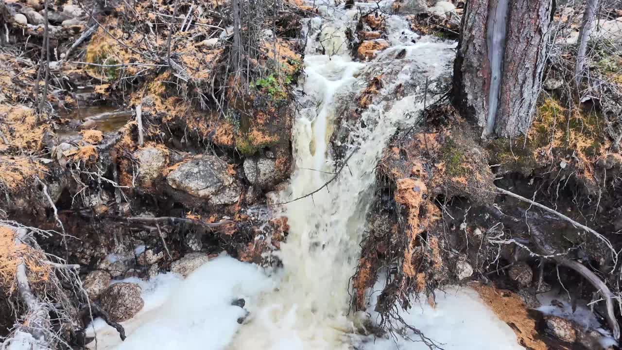 cascada de primavera en el bosque donde la naturaleza cobra vida