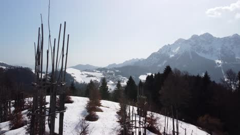 Aerial-Flying-Over-Tree-Cathedral-Art-Project-With-Snow-Covered-Ground-With-View-Of-Snow-Capped-Mountains-In-Background