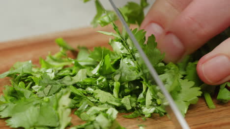 chopping cilantro