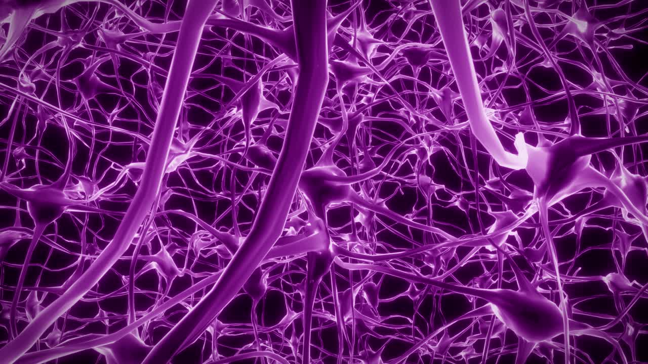 neuronas cerebro mente axón pensamiento red neuronal holograma célula ciencia de la salud 4k