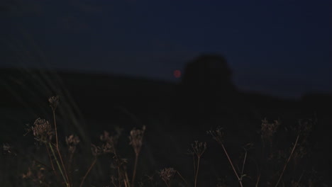 field at night with grass illuminated by the headlights off passing cars and flashing red lights in the background