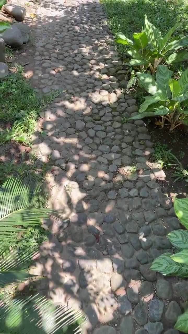 Pebble Stone Garden Path Surrounded by Lush Tropical Plants