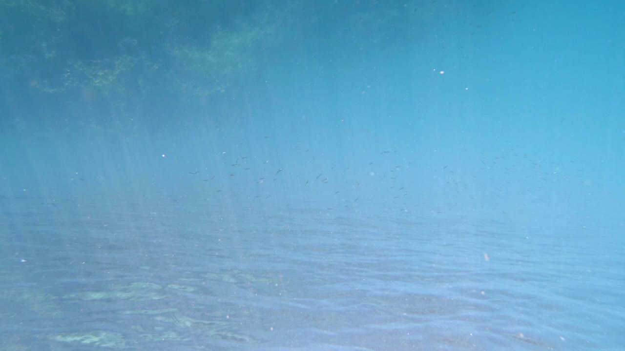 바다 표면의 수중 촬영