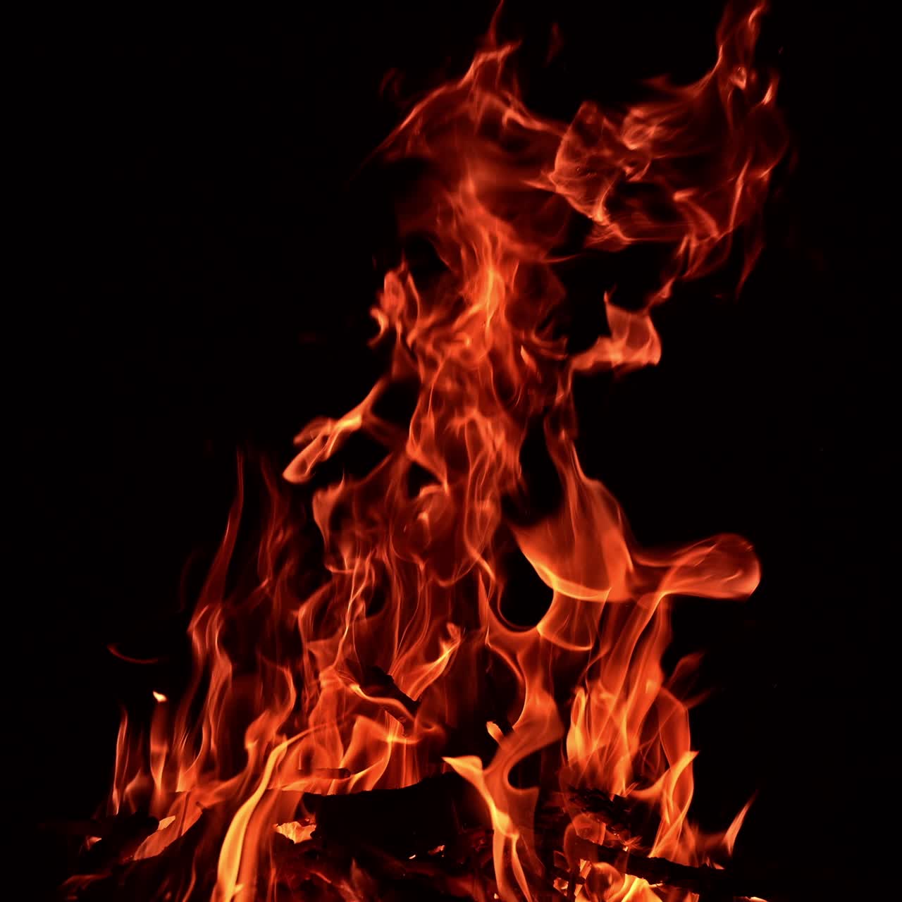 Grande falò acceso nell'oscurità totale. Rami di albero bruciano nel fuoco sullo sfondo dell'oscurità