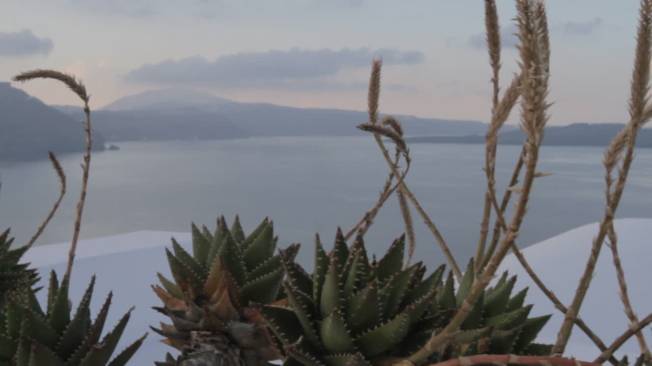 съемка на фоне кактусовых растений во время восхода солнца в оя, санторини