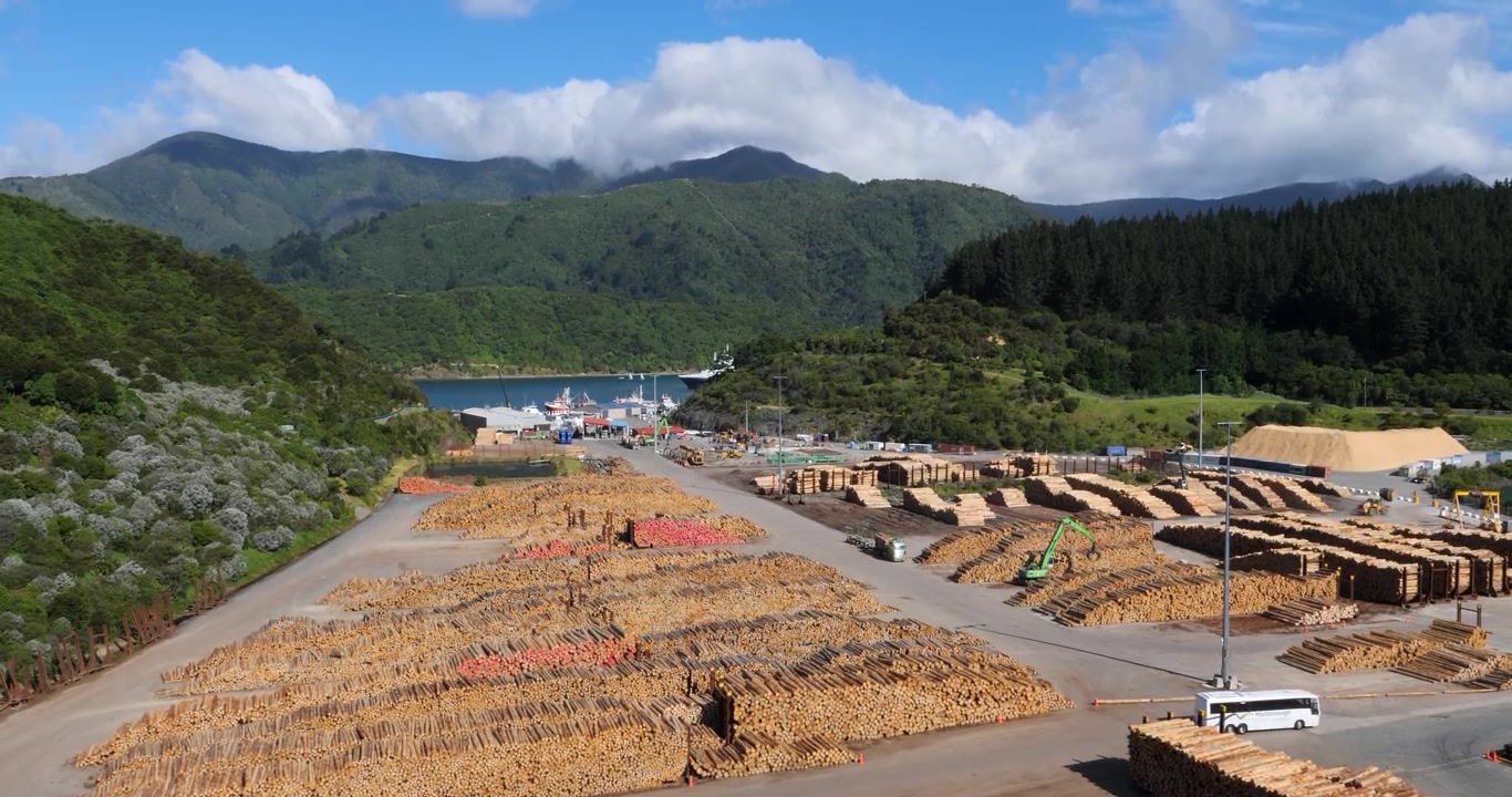 Waimahara Log Wharf befindet sich in der Shakespeare Bay, Picton, Neuseeland