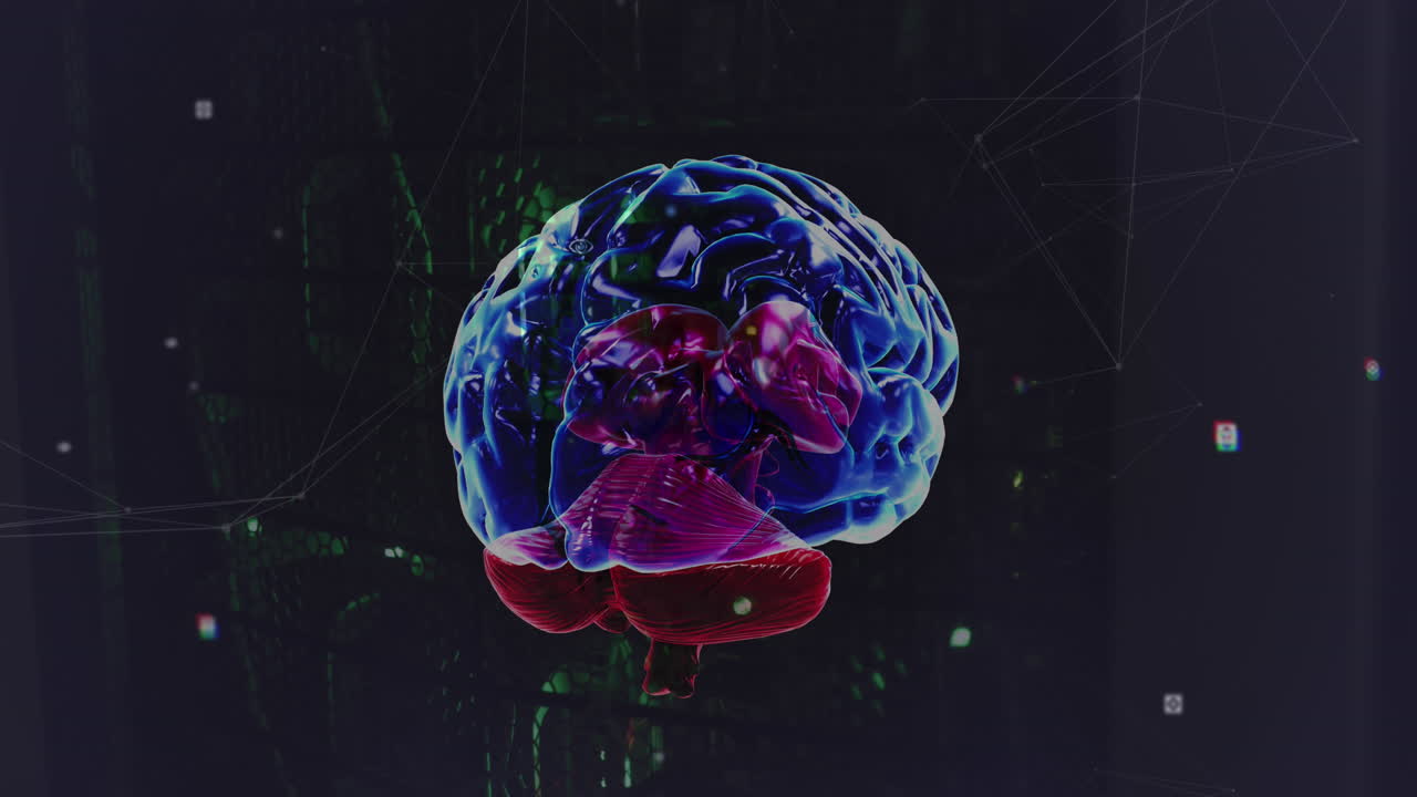 animación de la red de conexiones y cerebro sobre la sala de servidores