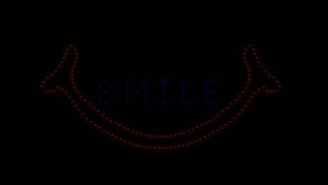 smile light logo