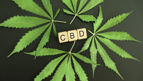 cbd letters with cannabis leaves on black background