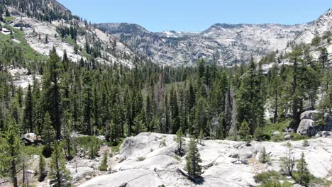 a 4k stabilized drone aerial shot shows pine trees, granite rock slabs covering the california wilderness with hikers camping in the forest in a canyon with a river during a sunny blue sky summer day