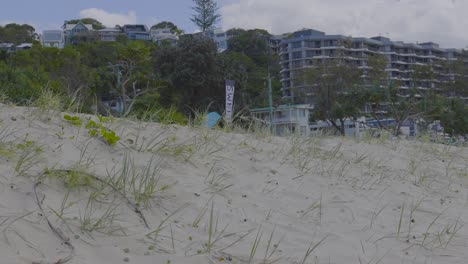 playa de arena con vegetación y edificios