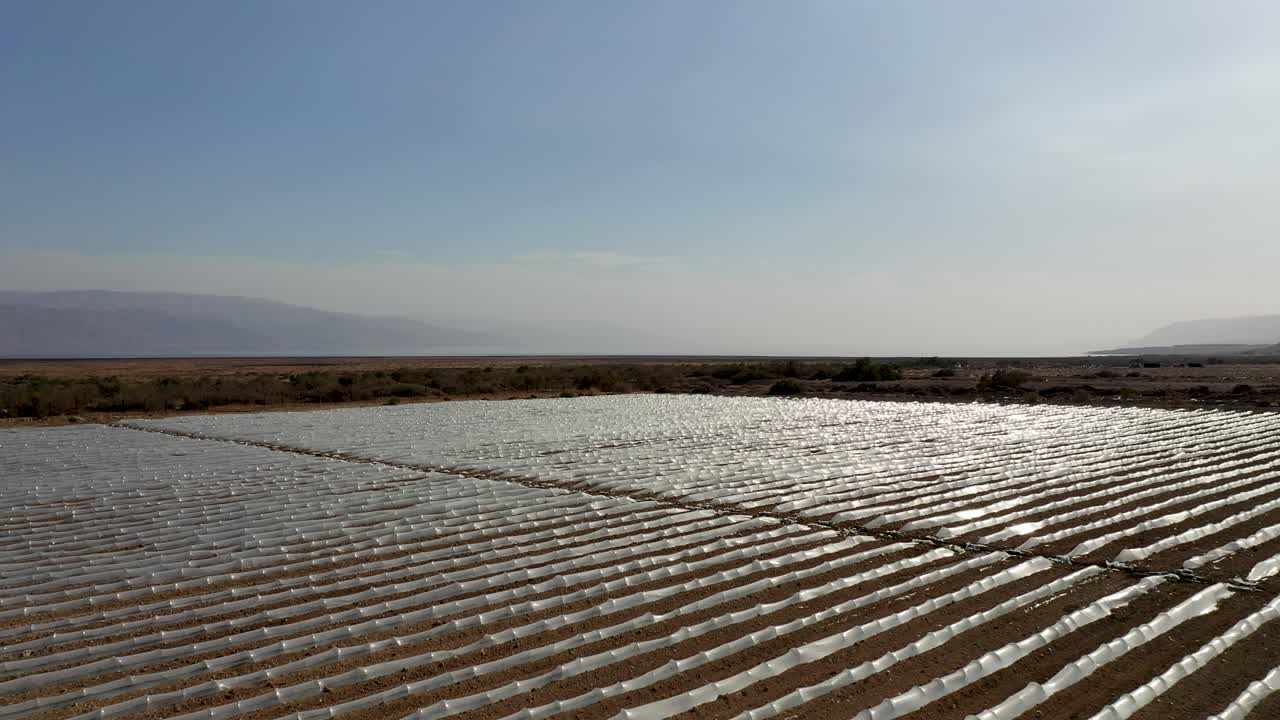 Flying over large plant field under small protective plastic greenhouses, hard sun reflection from the plastic, desert field, drone shot forward fly