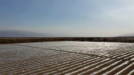 Volando-Sobre-Un-Gran-Campo-De-Plantas-Bajo-Pequeños-Invernaderos-Protectores-De-Plástico,-Duro-Reflejo-Del-Sol-Del-Plástico,-Campo-Desértico,-Drone-Disparado-Hacia-Adelante