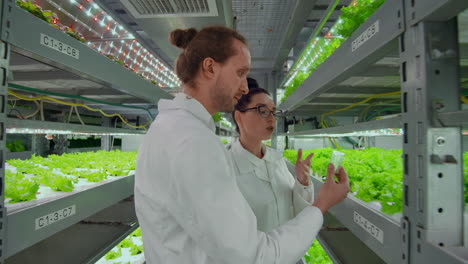 medium shot of two scientists man and woman in white coats holding test tube and tablet computer and examining samples while making soil tests in farm greenhouse