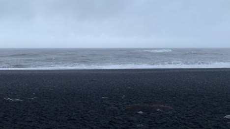 waves crash onto a black sand beach under a cloudy, gray sky. the dark volcanic shore contrasts with the foamy white surf, creating a striking coastal scene in iceland