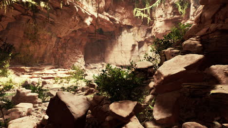 Blick-Von-Der-Höhle-Auf-Das-Licht