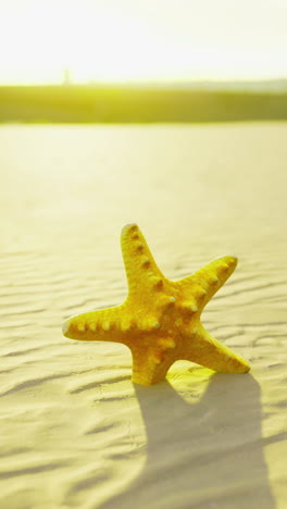 golden starfish resting on sandy shore as sunlight dances in the background