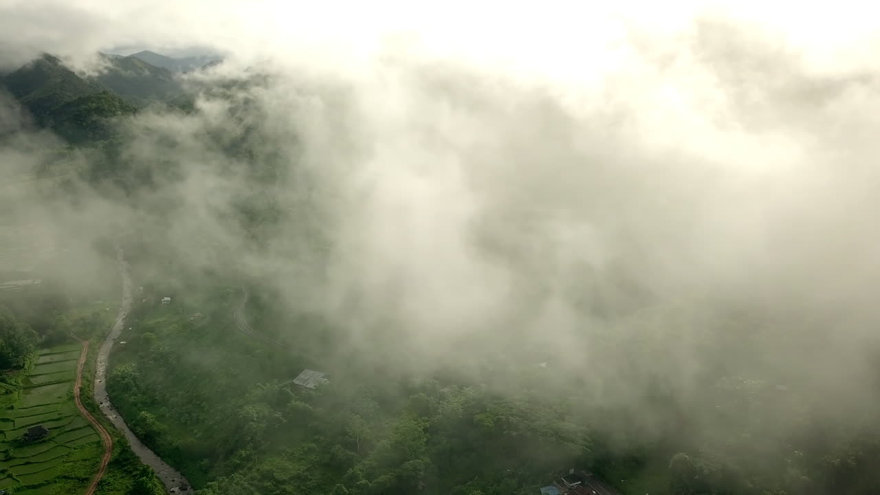 울창한 초록색 열대 열대 우림 산의 멋진 공중 풍경