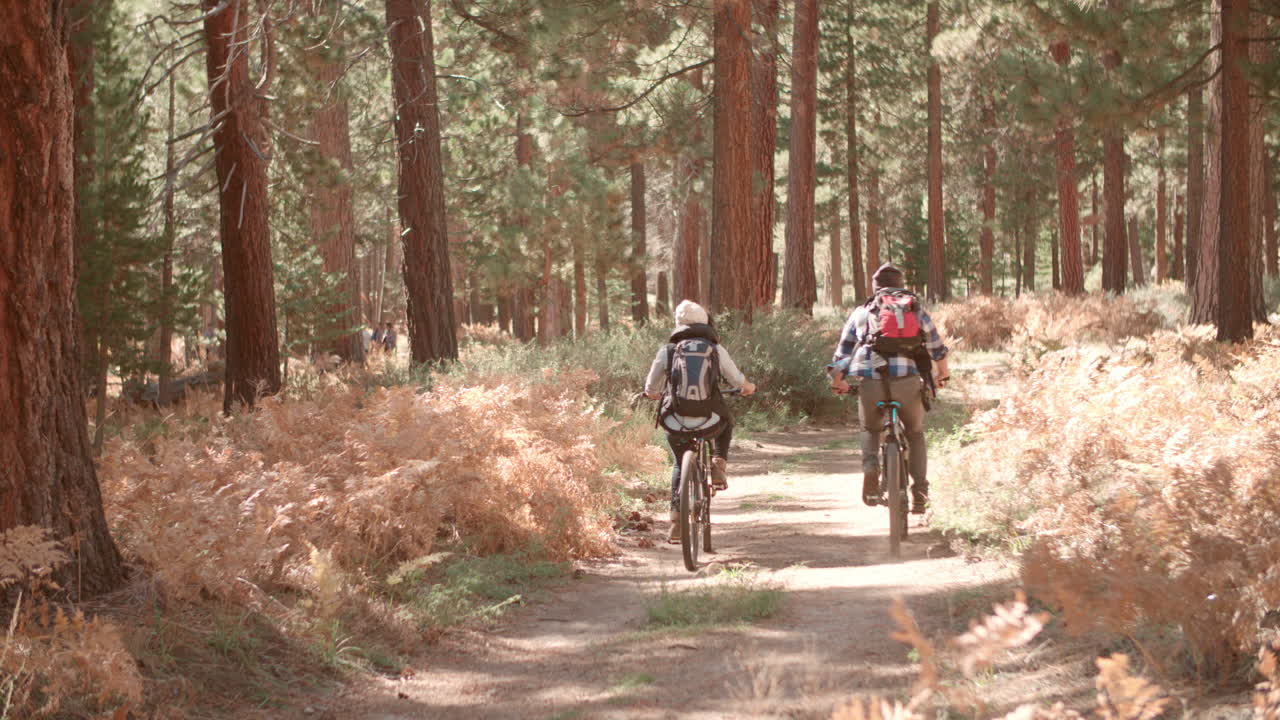 pareja sonriente en bicicleta a través de un bosque juntos, vista de atrás
