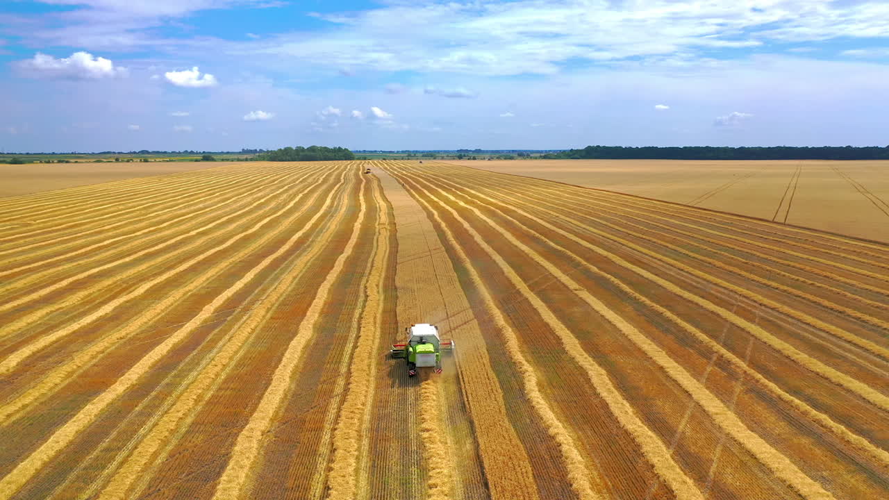 Process of gathering ripe crop from the fields. Aerial view on green combine. Harvest time in sunny day.