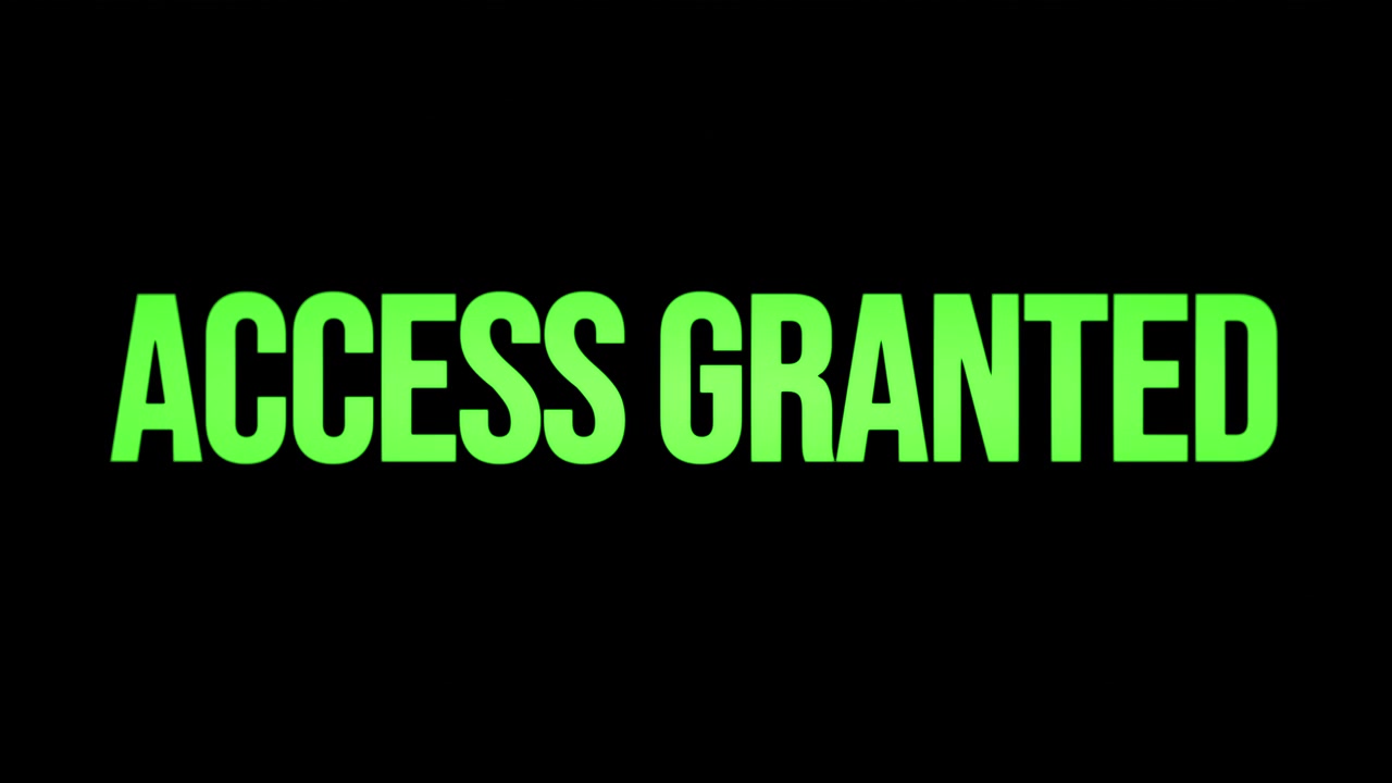A flashing text message, green condensed characters appearing and disappearing over a black background: Access Granted