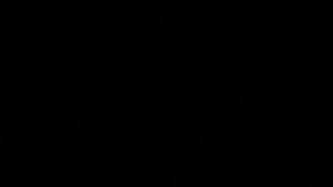 A flashing text message, green condensed characters appearing and disappearing over a black background: Access Granted