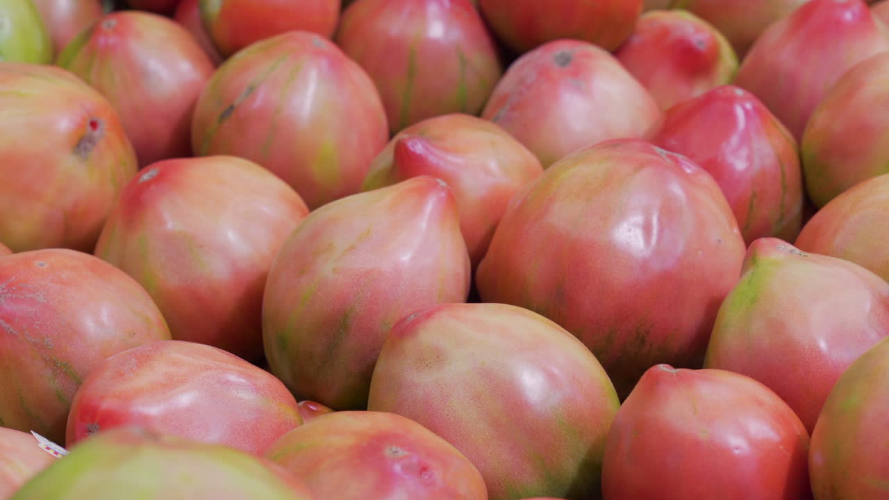 tomates valencianos en el mostrador de un puesto en el mercado central de valencia