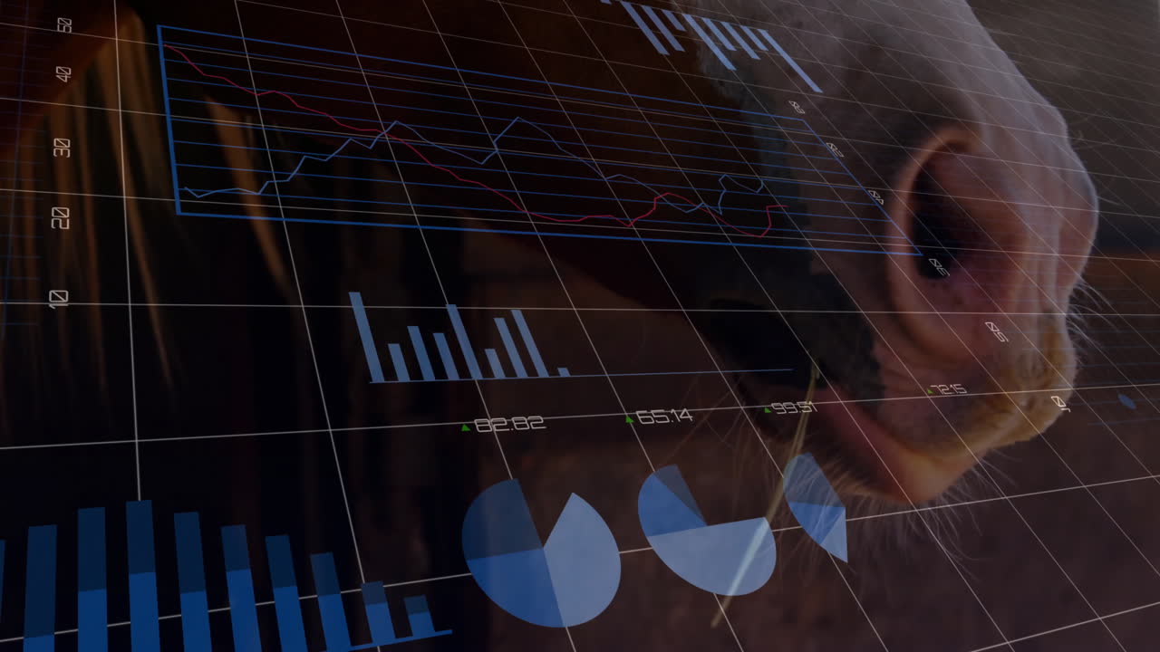 Financial data charts and graphs animation over business person in office