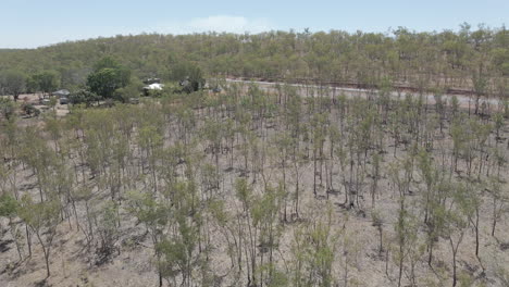 tiro de drone de casa y árboles en el interior australiano del territorio del norte