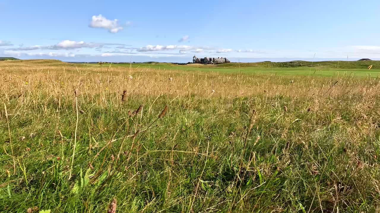 Low-angle camera pans across tall grass, revealing distant hotel and golf course under blue sky