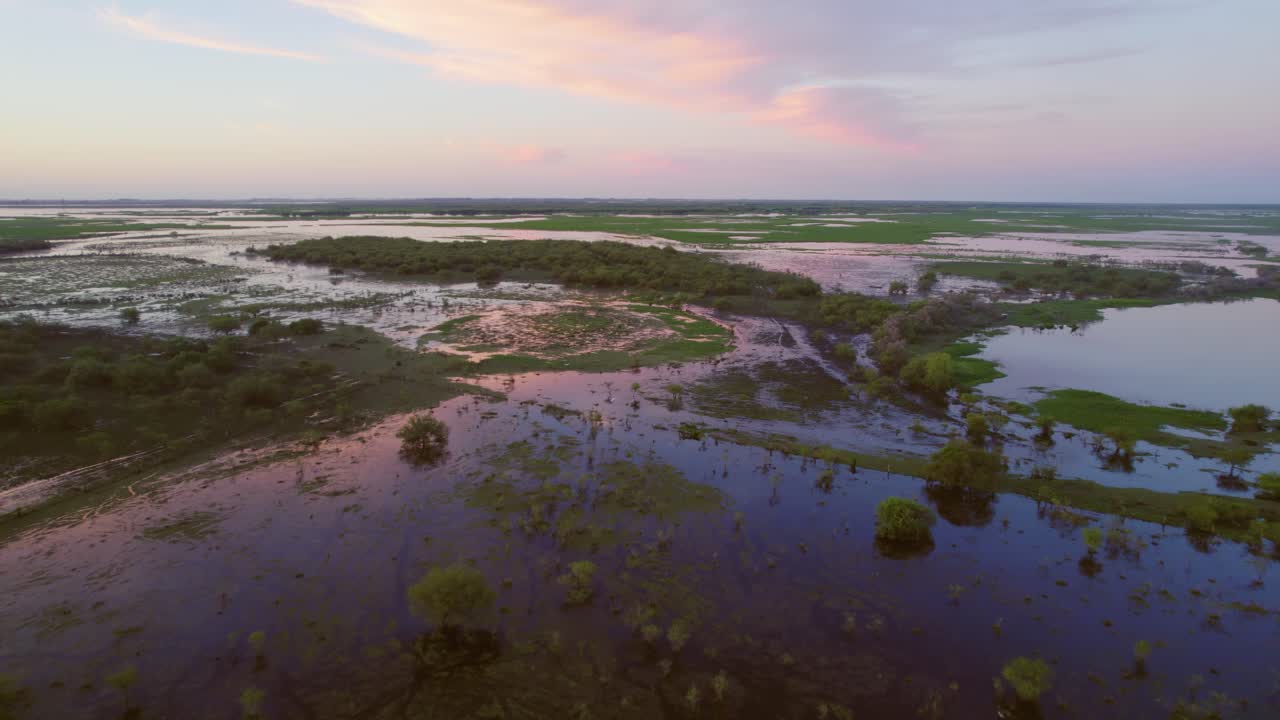 Volo su lagune, paludi e zone umide piene di vegetazione verde e uccelli al tramonto a Santa Fe, Argentina