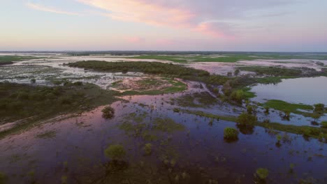 Flug-über-Lagunen,-Sümpfe-Und-Feuchtgebiete-Voller-Grüner-Vegetation-Und-Vögel-Bei-Sonnenuntergang-In-Santa-Fe,-Argentinien