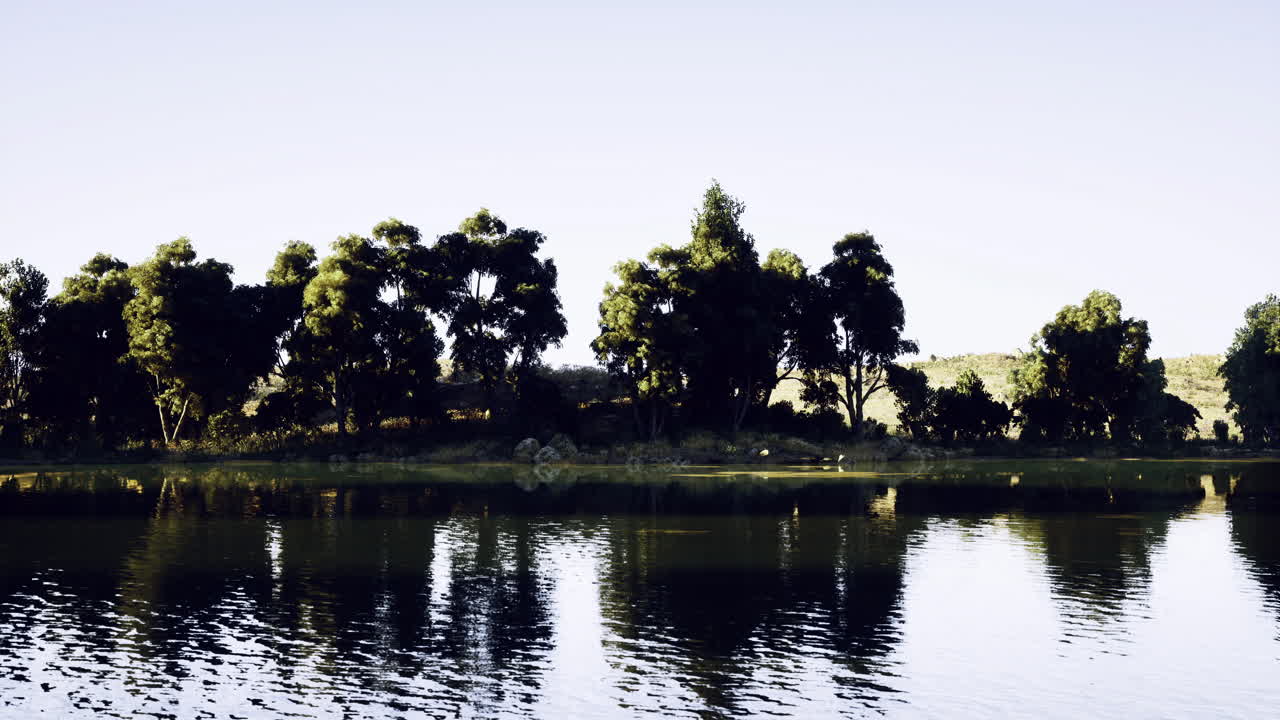 Tranquil riverside view with lush greenery and calm water reflections