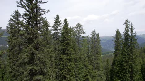 Aerial-drone-footage-of-an-old-forested-landscape-in-Switzerland-in-summer