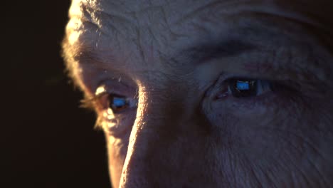 close-up of the focused eyes of a businessman wearing computer