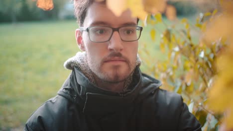captura a cámara lenta de un joven macho europeo examinando las hojas de otoño en los árboles, dándose cuenta de que el frío del invierno está cerca
