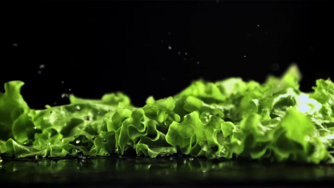 Fresh Green Lettuce Leaves Falling onto Wet Surface in Slow Motion