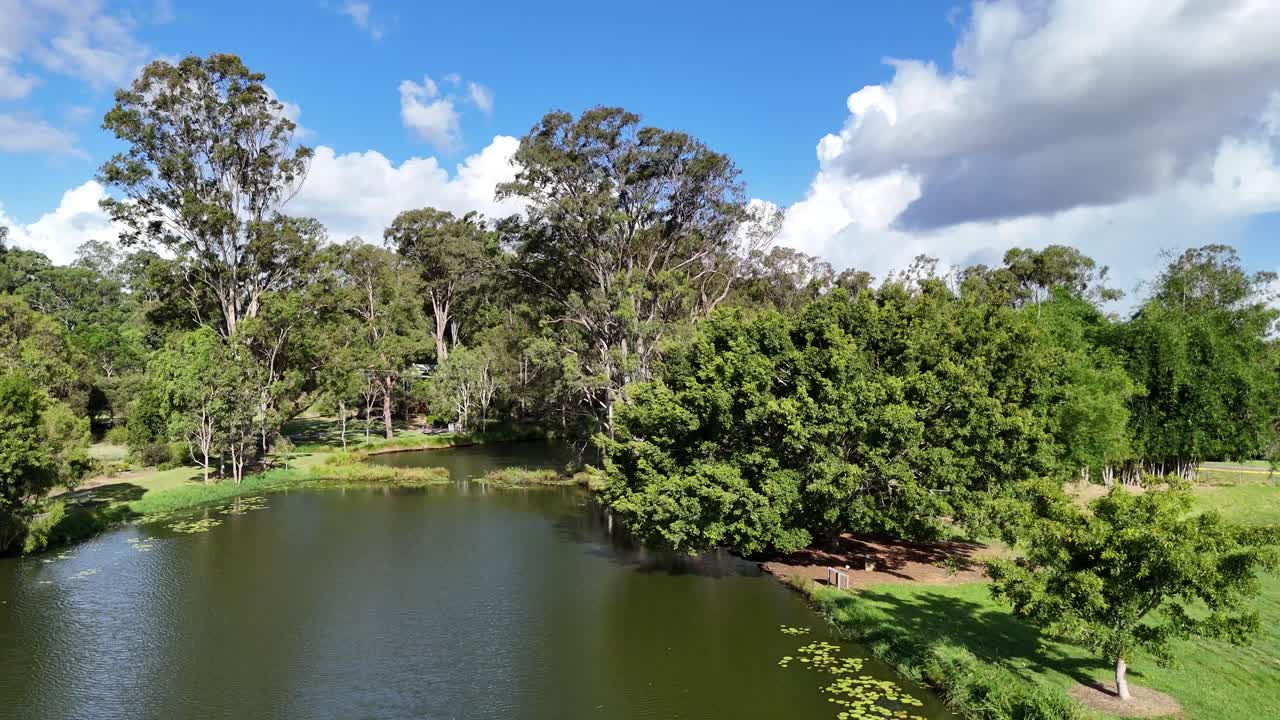 도시 스카이라인을 배경으로 울창한 초록색