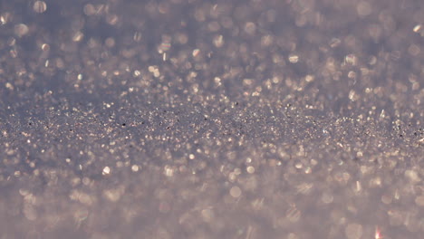 close up shot of snow with backlight from the low evening sun, shallow depth of field