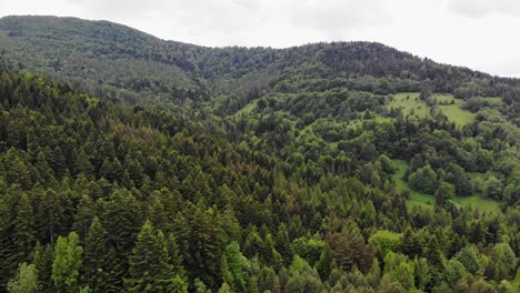 Vista-Serena-Del-Bosque-Siempre-Verde-En-Las-Montañas-Beskid,-Sur-De-Polonia,-Antena