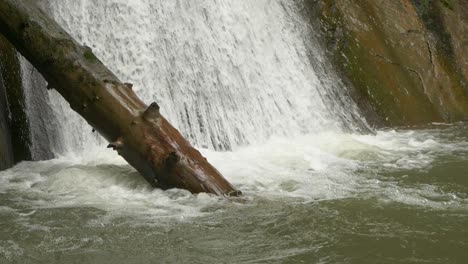 Primer-Plano-De-Cámara-Lenta-De-árbol-Desnudo-Grueso-Al-Pie-De-La-Cascada