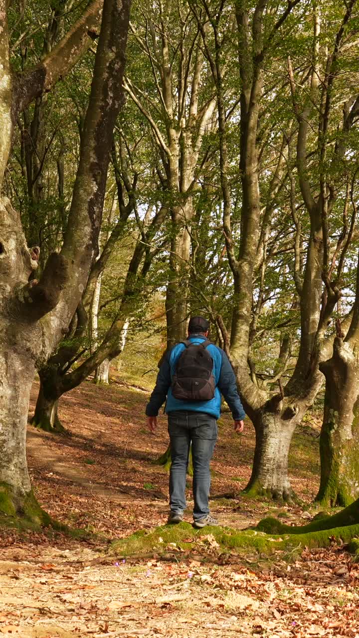hombre con mochila en un bosque