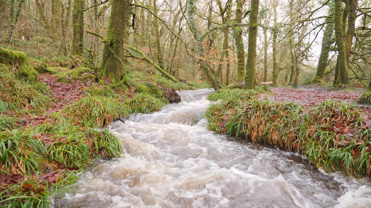 Fast flowing stream through woodland in the winter