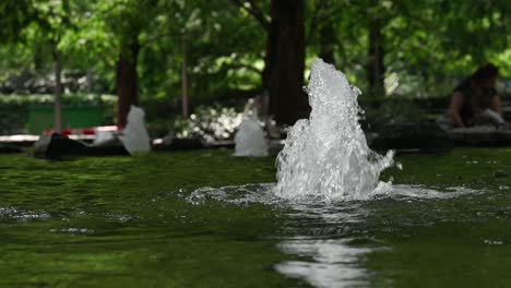 water fountains in a green park pond