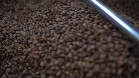 roasted coffee beans cooling down mixing on plate, production in roastery detail